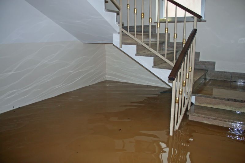 Basement Restoration Service in Chandler, AZ