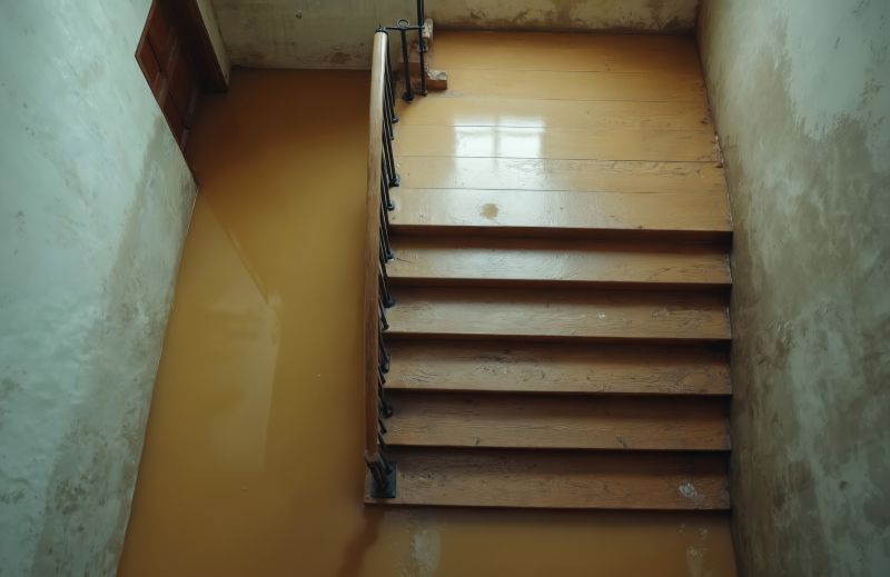 Crawlspace Water Cleanup in Mesa, AZ