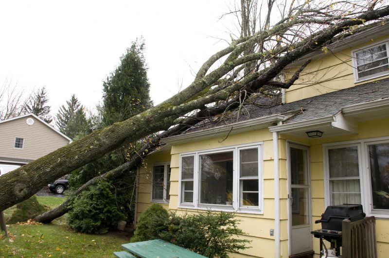 Disaster Restoration Service in Kansas City, KS