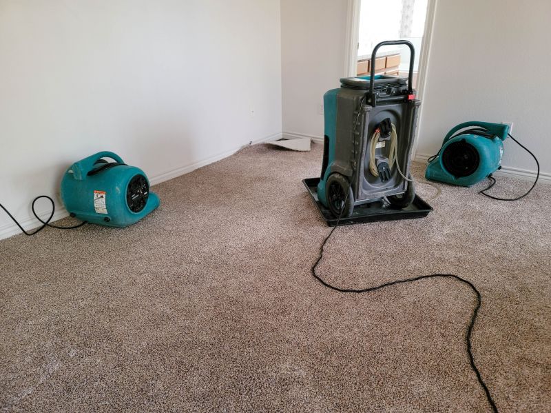 Flood Damage Repair in Phoenix, AZ