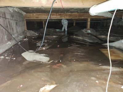 Storm Damage Cleanup in Scottsdale, AZ