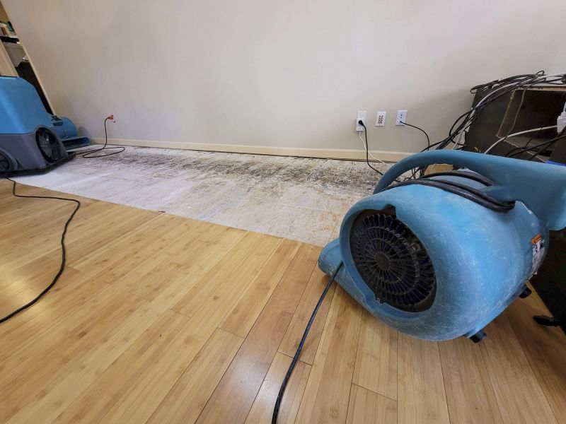 Storm Damage Mitigation in Wilmington, NC