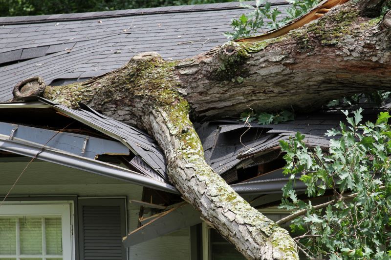 Storm Restoration Service in Mesa, AZ