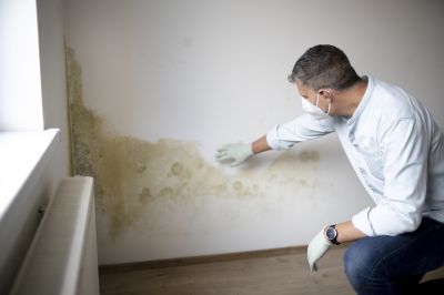 Mold Prevention