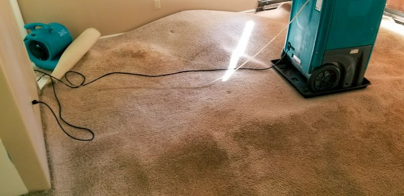 Wet Carpet Drying in Mesa, AZ