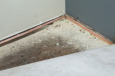 Floor and Subfloor Dryouts from Flooding