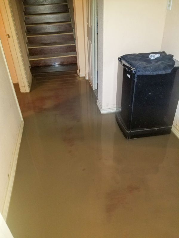 Basement Water Cleanup in Mesa, AZ
