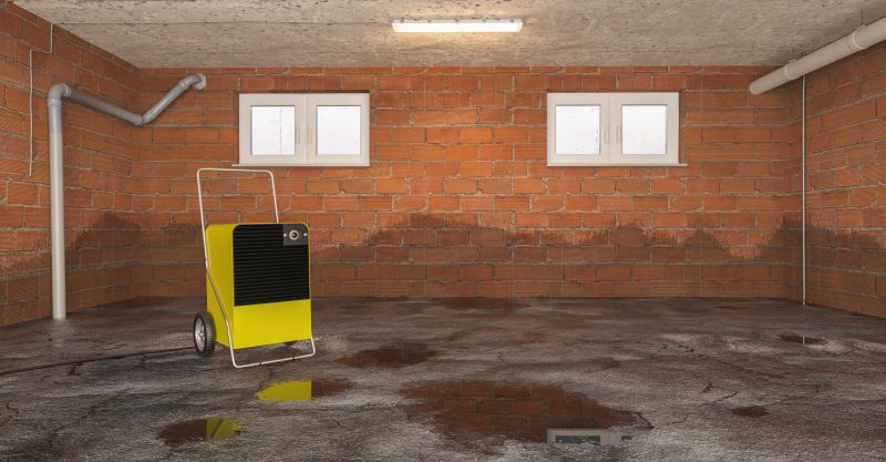 Basement Water Removal in Chandler, AZ