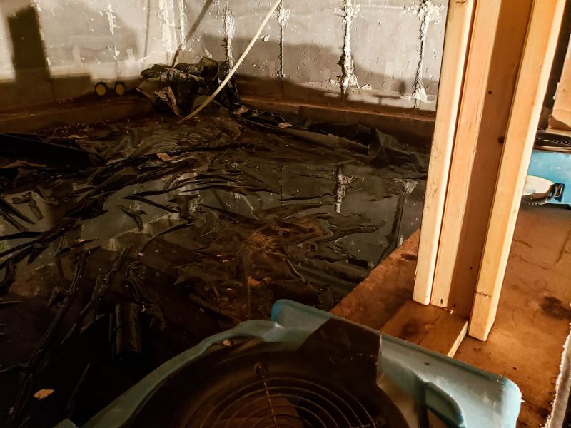 Crawlspace Water Cleanup in Mesa, AZ