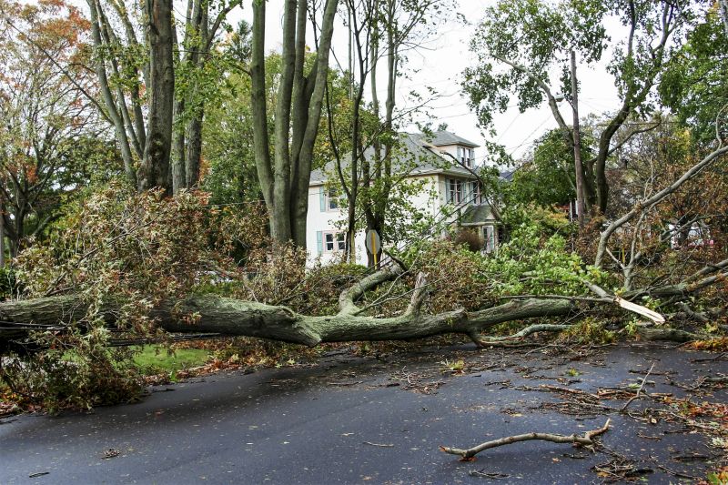 Tornado Damage Restoration in Olathe, KS